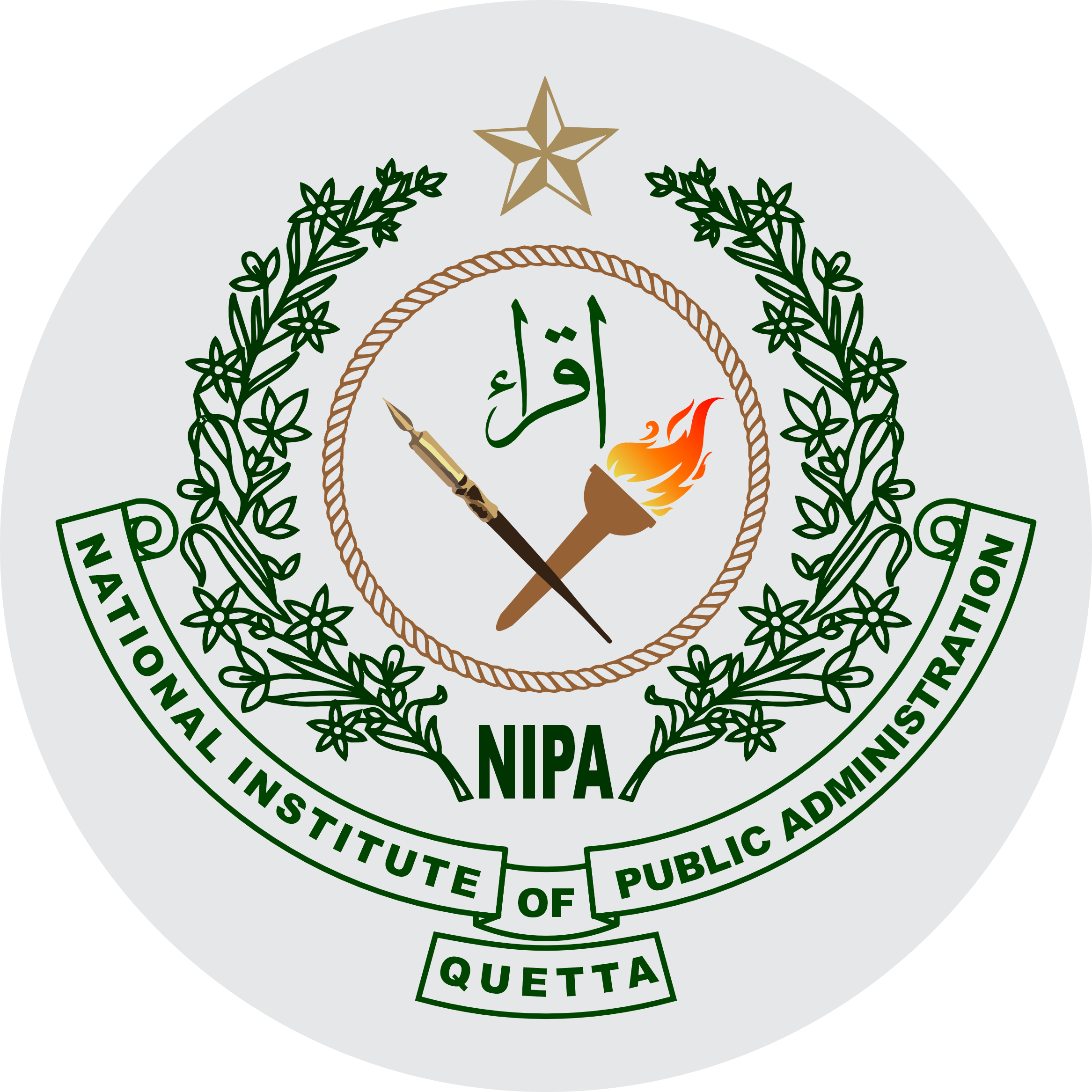 NIPA Logo